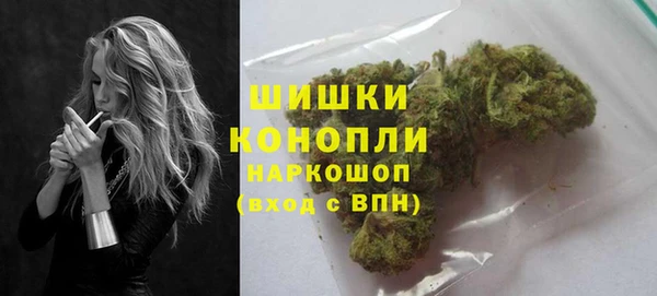 PSILOCYBIN Алзамай