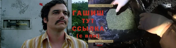 PSILOCYBIN Алзамай