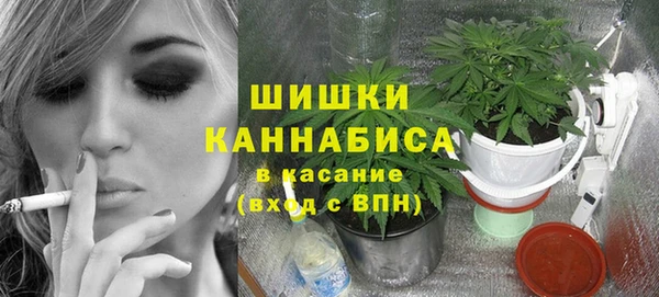 PSILOCYBIN Алзамай