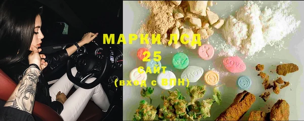 PSILOCYBIN Алзамай