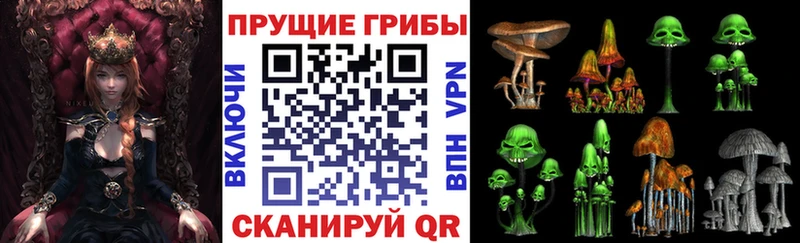 Псилоцибиновые грибы мухоморы Бабаево