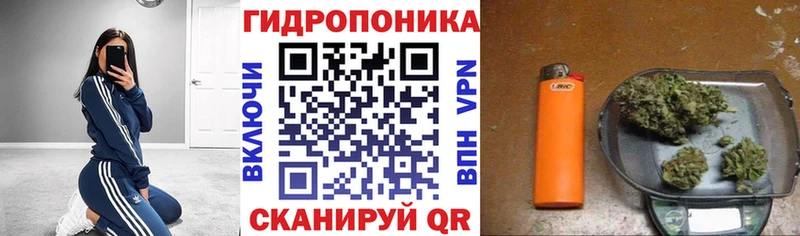 Марихуана OG Kush  мега ТОР  сайты даркнета официальный сайт  дарнет шоп  Бабаево 